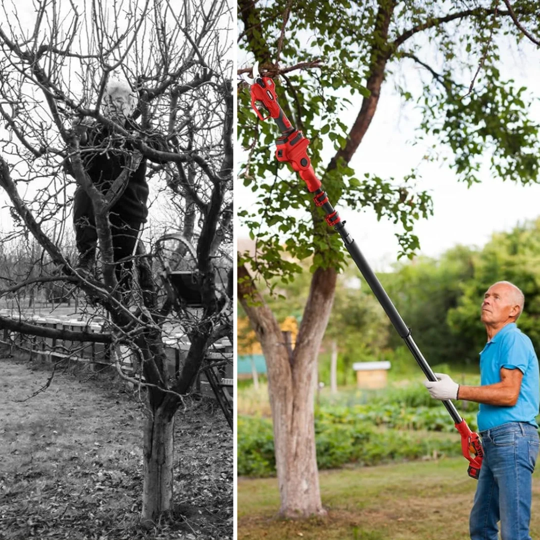 Lijevo čovjek orezuje na ljestvama među granama, desno čovjek orezuje sa zemlje pomoću šipke